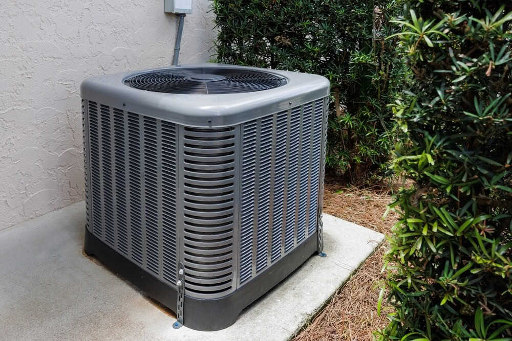 AC outdoor unit next to hedge - How to clean an AC drain line